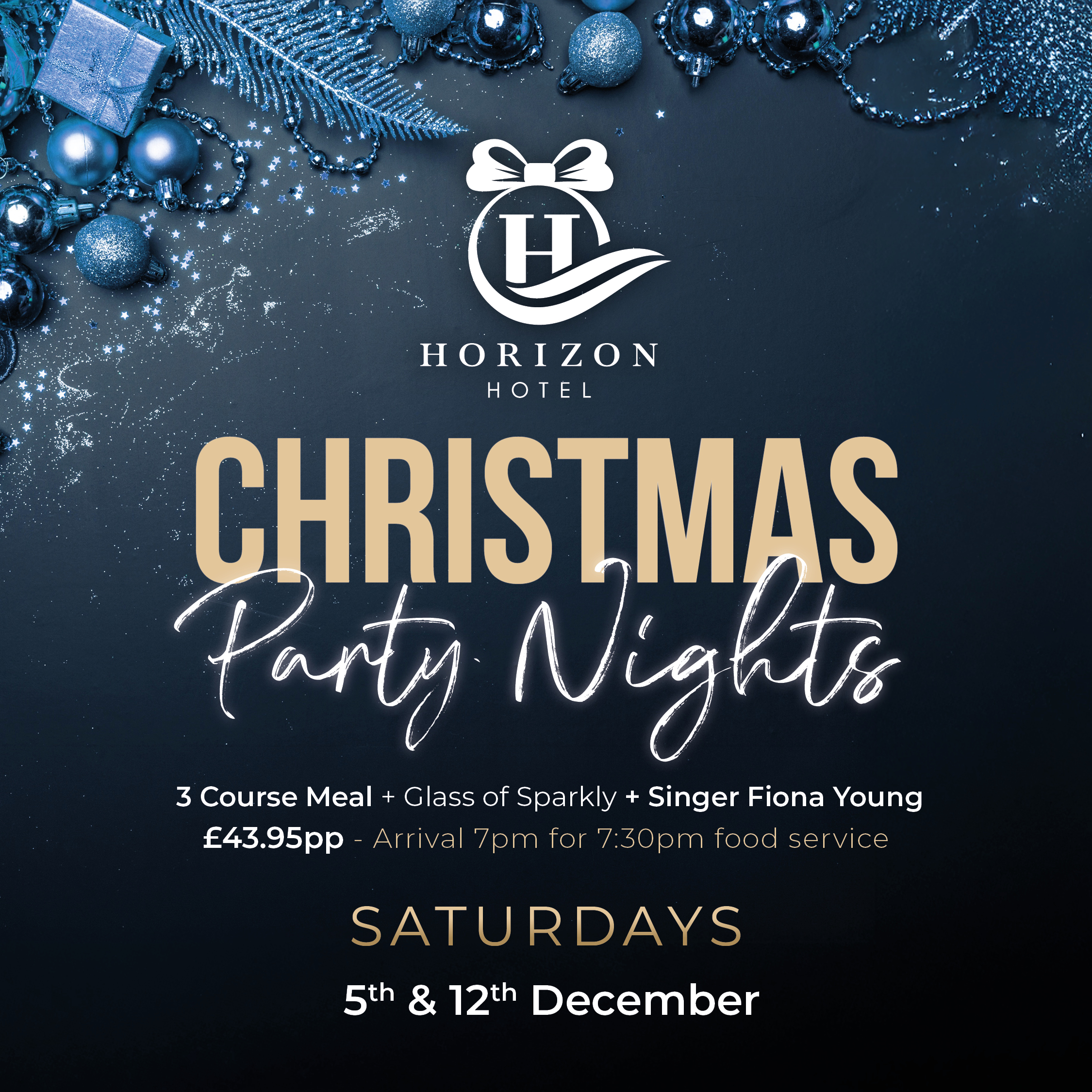 Christmas Party Nights Saturdays